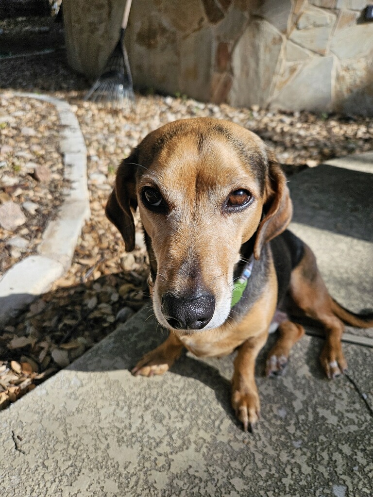 Charlie, Chief Morale Officer